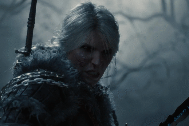 The Witcher 4